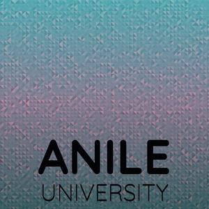 Anile University