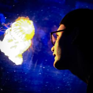 Panic Attack (Explicit)