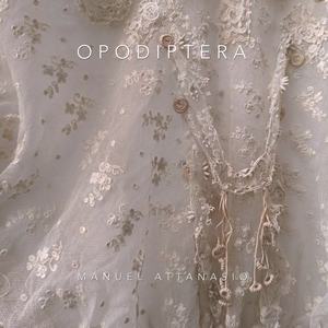 Manuel Attanasio - Supernova