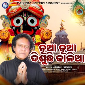 Nua Nua Disuchhi Kalia