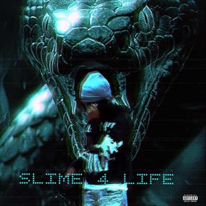 Slime (feat. shonoffaperk) (Explicit)