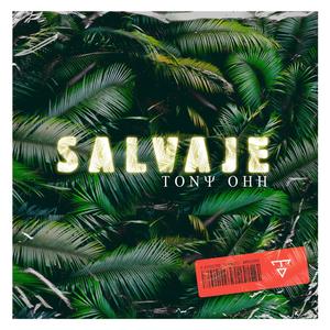 Salvaje (Explicit)