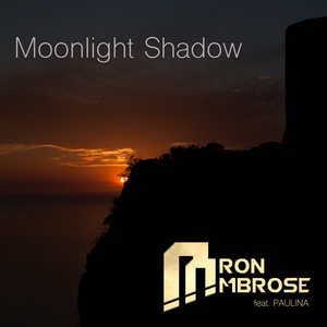 Aaron Ambrose - Moonlight Shadow (Ambrose Asylum Mix)