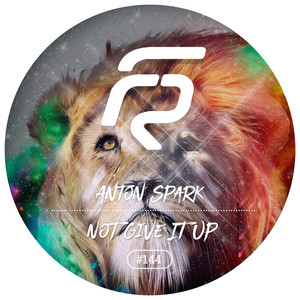 Not Give It Up (Original Mix)
