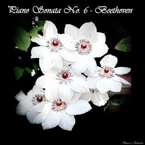 Piano Sonata No. 6 in F Major, Op. 10 No. 2: I. Allegro