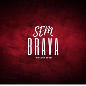 SEM BRAVA (feat. Mc´s Celim & Matheuziin) [Explicit]