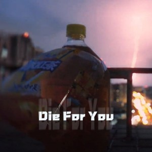 Die For You (DJ高燃版)