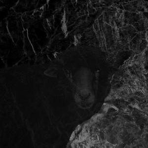 Apollo(feat. 4Zigg) (Explicit)