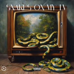 Snakes On My Tv (feat. Chucky Søsa & O XQUIZITE) (Explicit)
