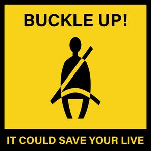 Buckle Up! (feat. pulsi) (Explicit)