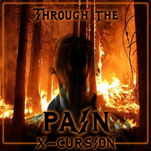 Through the Pain (Explicit)