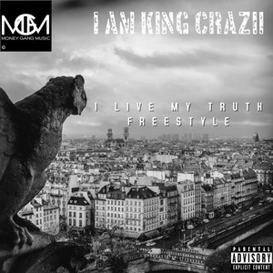 I Live My Truth (Freestyle) [Explicit]