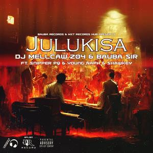 Julukisa (feat. Snipper PQ, Young Naph & Shawkey) [Explicit]