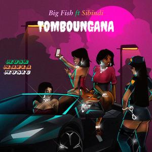 Tomboungana (feat. Big Fish & Sibindi)