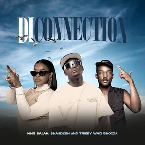 Shandesh Di Connection (feat. King Salah & Tribby Wadi Bhozza)