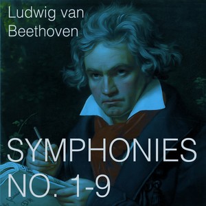 Symphony No. 9 in D Minor, Op. 125 - IV. Presto - Allegro molto assai - Andante maestoso - Allegro energico, sempre ben marcato