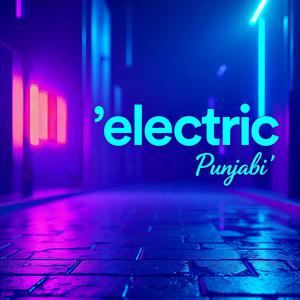 Electric Punjabi (feat. EDM For You)