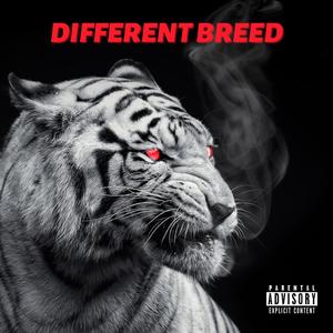 Different Breed (Explicit)