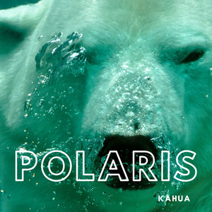 Polaris