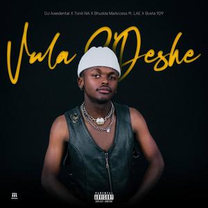 Vula S'Deshe (feat. LAE & Busta 929) (Explicit)