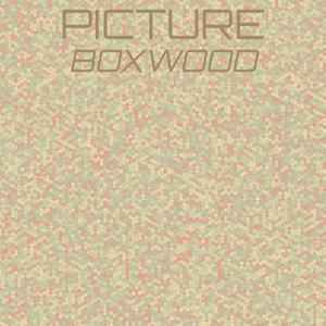 Picture Boxwood