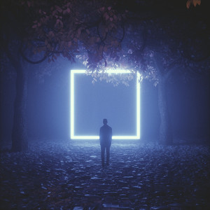 Feel The Night