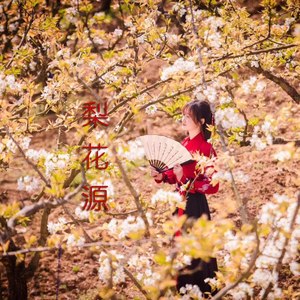 梨花源