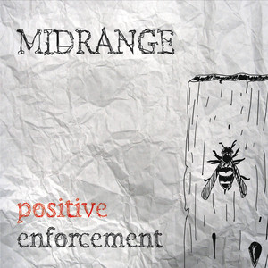 Positive Enforcement (Explicit)