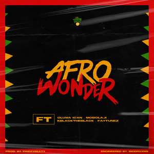 Afro Wonder