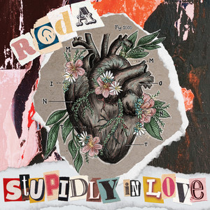 Stupidly in Love (Song By 로다 (Roda))