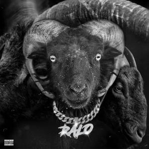 GNF(feat. Arrogant Cortez & Toolyy)[OKOKOK] (Remix|Explicit)