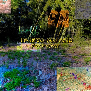 Fallow (feat. 狐子)