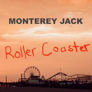 Roller Coaster