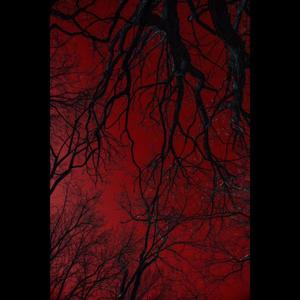 Glo Sito - bat gang (Explicit)