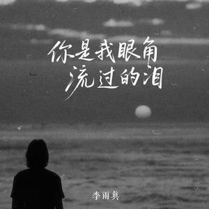 你是我眼角流过的泪 (伴奏)