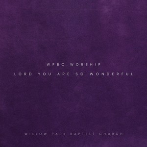 Lord, You Are so Wonderful (feat. Justin Hill)