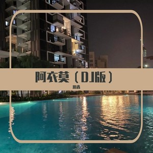 阿衣莫 (DJ泪鑫版)