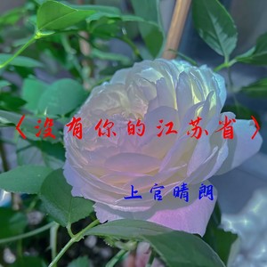 没有你的江苏省