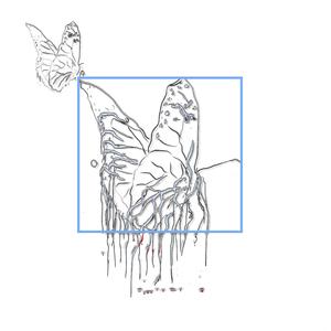 Flutter (plastic pet Remix)