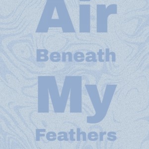 Air Beneath My Feathers