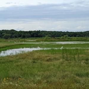 1:33 AM (feat. nuumi)