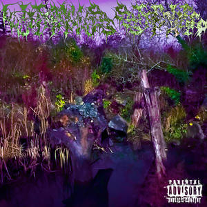 Litmus Strip (Explicit)