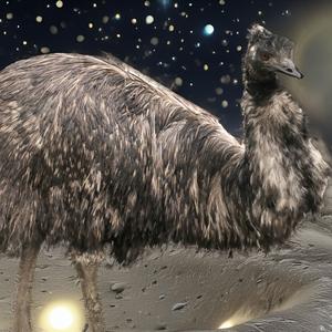 Lost the Battle (Explicit)