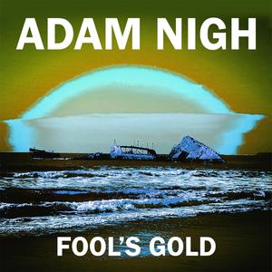 Fool's Gold (feat. Rachel Nigh) (Acoustic Version)