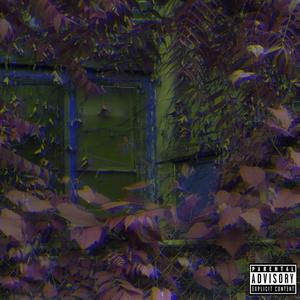 DON'T GO THERE (feat. Lic) (Explicit)
