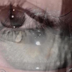 Zlatý Časy II (feat. Lokaas) (Explicit)