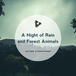 nature atmospheres 專輯: a night of rain and forest animals 歌詞