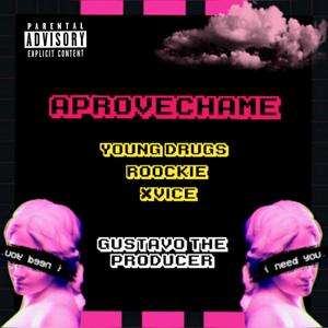 Aprovechame(feat. Drugs Smoke & Low G) (Explicit)