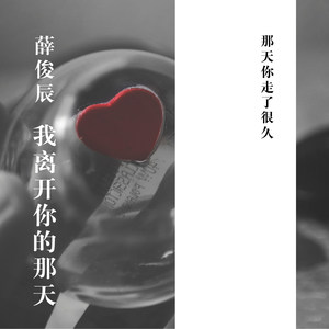 离开你的那天