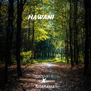 Hawani (Hiphop) [Explicit]